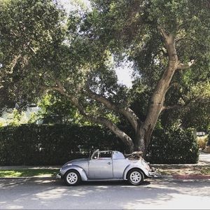 Meet your Posher, Jaime